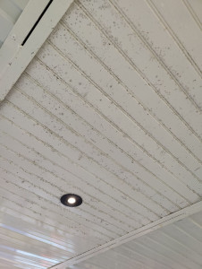 Photo de galerie - Nettoyage moisissure plafond et mur 
AVANT