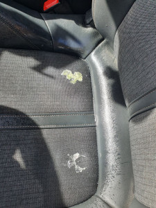 Photo de galerie - Ménage