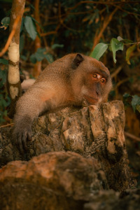 Photo de galerie - Photographe