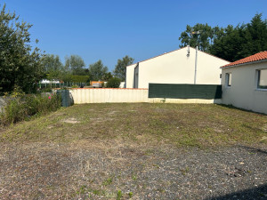 Photo de galerie - Tonte terminée client satisfait ✅