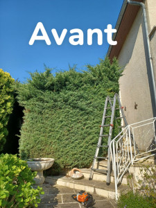 Photo de galerie - Tailler la haie