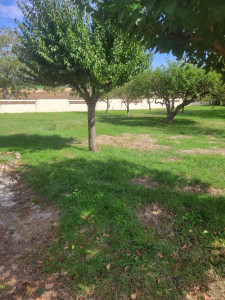 Photo de galerie - Avant 