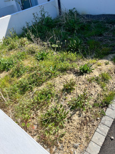 Photo de galerie - Avant Intervention Motoculteur (Rotovateur)