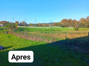 Photo de galerie - Tonte de pelouse - Débroussaillage