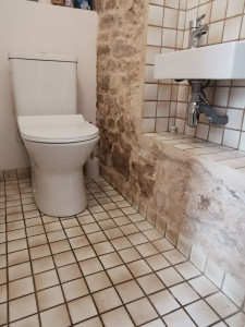 Photo de galerie - Remplacement wc et lave main. 