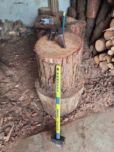 Photo de galerie - Elagage et coupe d'arbres