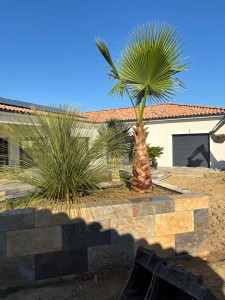Photo de galerie - Plantation 