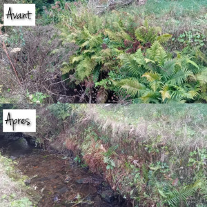 Photo de galerie - Entretien ruisseau