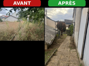 Photo de galerie - Taille de haie + débroussaillage 