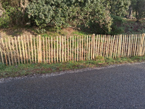 Photo de galerie - Pose de ganivelle 