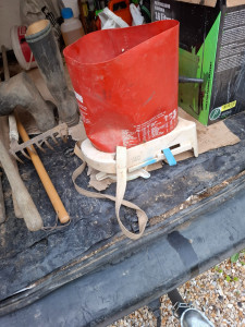 Photo de galerie - Semi gazon