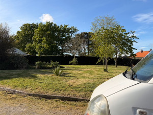 Photo de galerie - Taillage de haie 