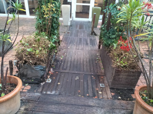 Photo de galerie - Restauration et nettoyage et réparation de plantes coupage de qualité de plantes et taller 