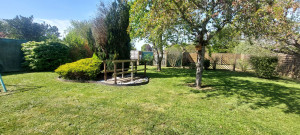 Photo de galerie - Tonte de pelouse - Débroussaillage