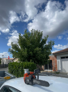 Photo de galerie - Jardinier