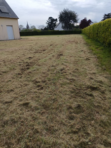 Photo de galerie - Scarification 