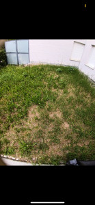 Photo de galerie - Entretien de terrasse 