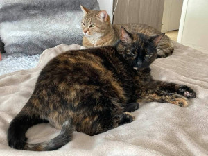 Photo de galerie - Nexis et Kenya ?