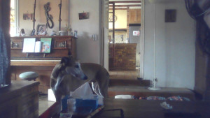 Photo de galerie - Gus - hébergement