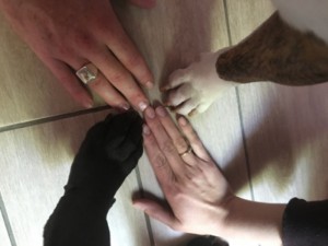 Photo réalisation - Garde chien - Aurelien F. - Reims (La Neuvillette Habitat) : Garde de chien sociable avec les autres. Qu'il soit petit ou gros sa ne pose aucun problème 