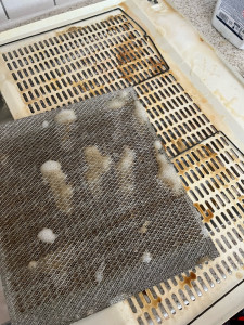 Photo de galerie - Ménage