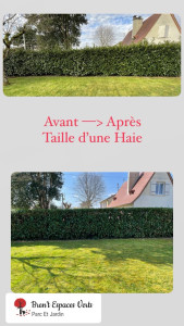 Photo de galerie - Avant - Après Taille d’une Haie