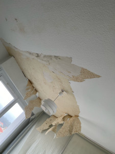 Photo de galerie - Suite à un dégât des eaux, dépose de la toile du toile  au plafond