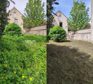 Photo de galerie - Tonte de pelouse - Débroussaillage