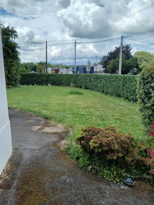 Photo de galerie - Taille de haie 