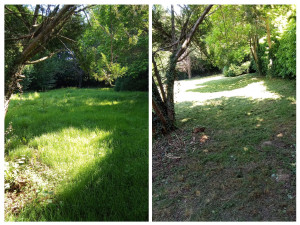 Photo de galerie - Tonte de pelouse - Débroussaillage