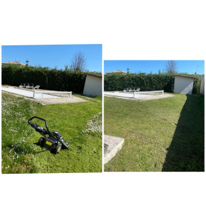 Photo de galerie - Tonte de pelouse - Débroussaillage
