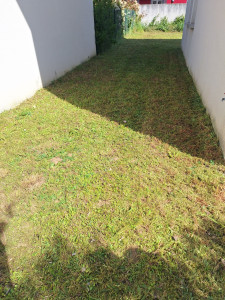 Photo de galerie - Tonte mulching 