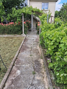 Photo de galerie - Jardinier