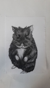 Photo de galerie - Activité dessin:
Portrait de mon hamster au fusain.