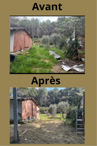 Photo de galerie - Débroussaillage 