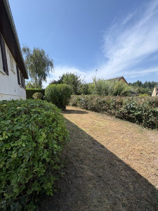 Photo de galerie - Taille de haies et d'arbustes