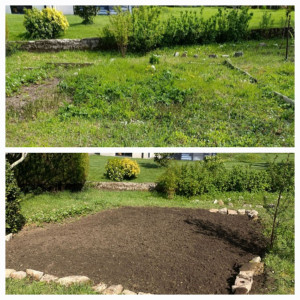 Photo de galerie - Débroussaillage et préparation du sol
Désherbage complet et retournement de terre
Nettoyage et remise à niveau du terrain
Préparation de sol avant plantation.