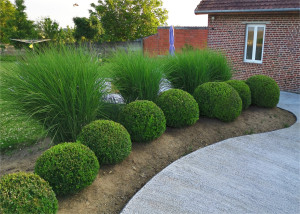 Photo de galerie - Entretiens 