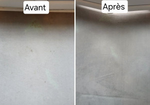 Photo de galerie - Nettoyage moquette 