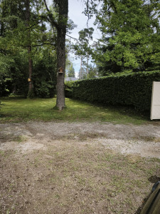 Photo de galerie - Taille de haies et d'arbustes
