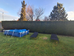 Photo de galerie - Taille de haie