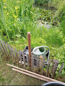 Photo de galerie - Entretien d'un massif autour d'une mare 