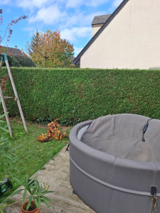 Photo de galerie - Taille de haie.