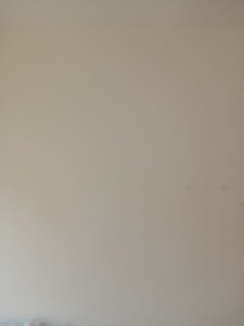 Photo de galerie - Peinture - Tapisserie