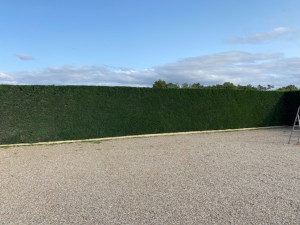 Photo de galerie - Petite haie Sur Dax fini Client satisfait 