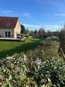 Photo de galerie - Taille de haie 