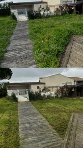 Photo de galerie - Tonte de pelouse - Débroussaillage