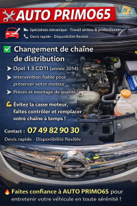 Photo de galerie - Changement de chaîne de distribution Opel 1.3cdti 