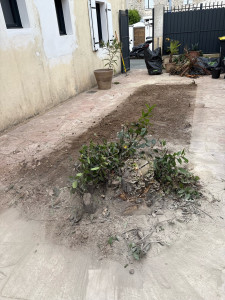 Photo de galerie - Enlèvement de massifs après