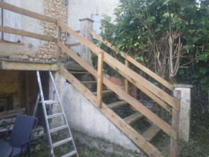 Photo de galerie - Tonte de pelouse - Débroussaillage